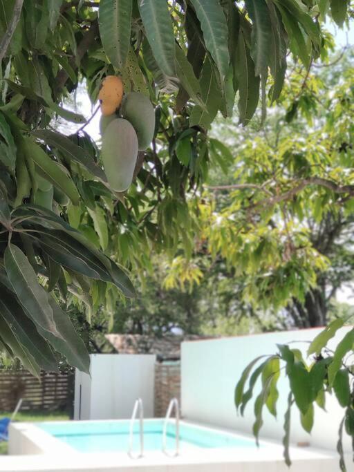 Casa Mango Amplia Con Alberca Y Cerca De La Media Luna !!! Rio Verde Bagian luar foto