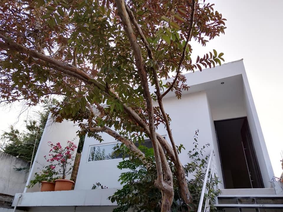 Casa Mango Amplia Con Alberca Y Cerca De La Media Luna !!! Rio Verde Bagian luar foto